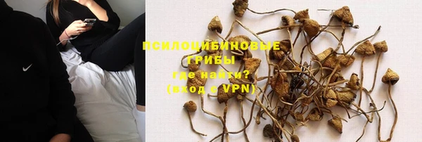 jwh Новозыбков