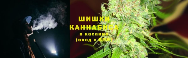 mdpv Новодвинск