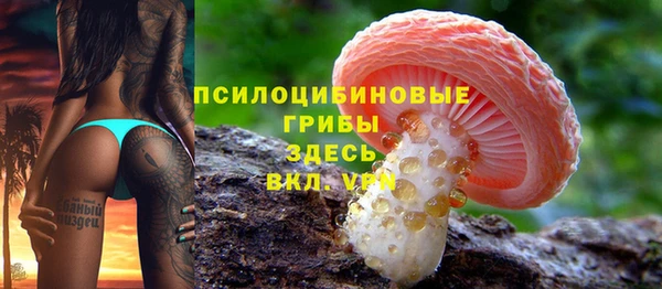 mdpv Новодвинск