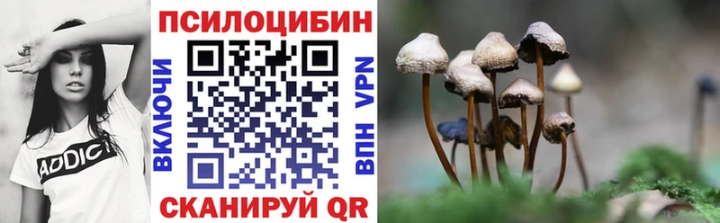 Купить где  Донской  Галлюциногенные грибы MAGIC MUSHROOMS 